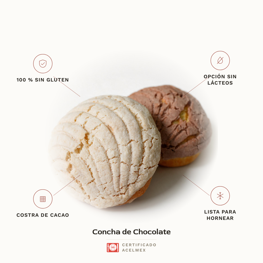 Concha de Chocolate sin gluten · Pan-Filio