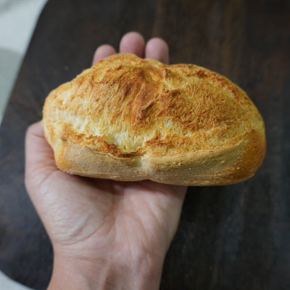Bolillos sin gluten · Pan-Filio